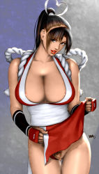 Rule 34 | 1girl, breasts, brown eyes, brown hair, cleavage, clothes lift, clothing aside, fatal fury, female pubic hair, huge breasts, nipples, panties, panties aside, pelvic curtain, ponytail, pubic hair, pussy, shiranui mai, skirt, skirt lift, snk, solo, the king of fighters, uncensored, underwear, wakino keibun