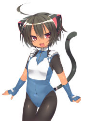 Rule 34 | 1girl, :d, absurdres, animal ears, black hair, blush, bodysuit, breasts, cat ears, cat girl, cat tail, dancho (dancyo), fang, female focus, fingerless gloves, gloves, highres, looking at viewer, open mouth, original, pantyhose, red eyes, short hair, simple background, skull.03, small breasts, smile, solo, tail, tan, white background
