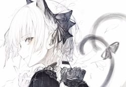 Rule 34 | 1girl, animal ears, black bow, black choker, black dress, blue ribbon, bow, braid, cat ears, cat tail, choker, closed mouth, dress, from behind, grey eyes, hair bow, hair ribbon, hand up, highres, hito komoru, kaenbyou rin, long hair, looking at viewer, multiple tails, pointing, ribbon, simple background, smile, solo, tail, touhou, twin braids, two tails, upper body, white background, white hair