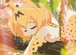 Rule 34 | 1girl, animal ear fluff, animal ears, profile picture, bare shoulders, bloom, blurry, bob cut, breasts, closed eyes, commentary request, cross-laced clothes, day, depth of field, elbow gloves, english text, flat color, gloves, high-waist skirt, instagram, instagram username, kemono friends, lying, maikata, medium skirt, multicolored hair, no lineart, on stomach, open mouth, outdoors, print gloves, print neckwear, print skirt, serval (kemono friends), serval print, shirt, shirt tucked in, short hair, skirt, sleeping, sleeveless, sleeveless shirt, solo, white shirt