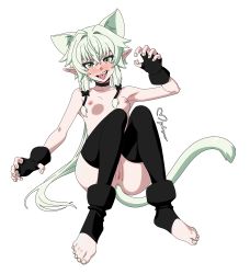 Rule 34 | 1girl, absurdres, animal ears, black choker, breasts, cat ears, cat girl, cat tail, choker, elf, fangs, fingerless gloves, full body, gloves, goblin slayer!, green hair, high elf archer (goblin slayer!), highres, kemonomimi mode, mmmalice, nipples, nude, pointy ears, ponytail, pussy, signature, small breasts, solo, tail, thighhighs, tongue, tongue out