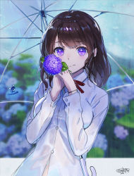 Rule 34 | 1girl, blurry, blurry background, blush, bra visible through clothes, breasts, brown hair, closed mouth, collared shirt, depth of field, flower, gloves, hands up, holding, holding flower, holding umbrella, hydrangea, long hair, long sleeves, looking at viewer, medium breasts, original, purple eyes, purple gloves, rain, revision, sanbasou, school uniform, see-through, shirt, signature, smile, solo, transparent, transparent umbrella, umbrella, wet, wet clothes, wet shirt, white shirt