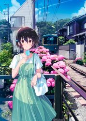 Rule 34 | 1girl, :o, akamoku, bag, banned artist, blue sky, blush, brown eyes, brown hair, building, collarbone, dress, enoshima electric railway, fence, flower, food, green dress, hair ornament, hand up, highres, holding, holding food, hydrangea, looking at viewer, original, outdoors, parted lips, pink flower, plant, popsicle, scenery, shirt, short hair, short sleeves, signature, sky, sleeveless, sleeveless dress, standing, train, utility pole, white shirt