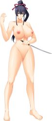 Rule 34 | 1girl, barefoot, black hair, breasts, breasts out, censored, highres, holding, holding weapon, long hair, mosaic censoring, nude, ponytail, standing, suzaku, tagme, toes, weapon