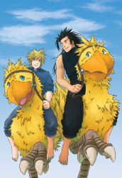 Rule 34 | 2boys, barefoot, beak, black hair, black pants, black shirt, blonde hair, blue eyes, blue pants, blue shirt, chocobo, cloud, cloud strife, cloudy sky, facial scar, final fantasy, final fantasy vii, hair between eyes, hair slicked back, holding, holding reins, long hair, looking at another, male focus, multiple boys, outdoors, pants, parted lips, reins, riding, riding animal, scar, scar on cheek, scar on face, shirt, short hair, sideburns, sky, sleeveless, sleeveless turtleneck, sleeves rolled up, smile, spiked hair, talons, torimaru-douhu, turtleneck, zack fair