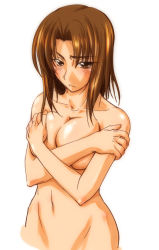 Rule 34 | 00s, 1girl, blush, breast hold, breasts, brown eyes, brown hair, covering privates, crossed arms, fate/stay night, fate (series), fue (rhomphair), large breasts, mitsuzuri ayako, navel, nude, nude cover, solo