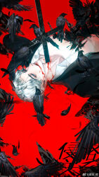 Rule 34 | 1boy, absurdres, baku-jo yado, bird, black bird, black feathers, black jacket, blood, blood from mouth, blood on face, blood on neck, blue eyes, collarbone, cross, crow, falling feathers, feathers, highres, jacket, lips, lying, male focus, on back, open clothes, open shirt, original, parted bangs, parted lips, rain, raining blood, shirt, short hair, solo, teeth, weibo watermark, white hair, white shirt