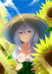 Rule 34 | 1girl, blush, breasts, closed mouth, day, dress, flower, food, fruit, grey hair, hair between eyes, hat, highres, inushi, kantai collection, kashima (kancolle), long hair, looking at viewer, medium breasts, nipples, no bra, outdoors, smile, solo, straw hat, sunlight, watermelon