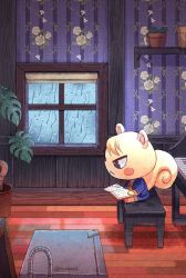 Rule 34 | 1boy, animal crossing, animal ears, artist name, book, chair, flower, frown, indoors, leaf, male focus, marshal (animal crossing), munette, nintendo, open book, plant, pot, potted plant, rain, reading, shelf, sitting, solo, solo focus, squirrel, squirrel ears, squirrel tail, tail, twitter username, watermark, window