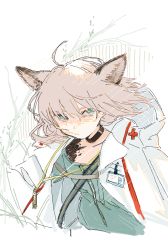 Rule 34 | 1girl, aaoshigatoutoi, ahoge, animal ears, arknights, black choker, blue eyes, blue shirt, choker, closed mouth, commentary request, cross, expressionless, fox ears, grey hair, hood, hooded jacket, id card, jacket, looking at viewer, material growth, open clothes, open jacket, oripathy lesion (arknights), red cross, shirt, short hair, simple background, solo, sussurro (arknights), upper body, white background, white jacket