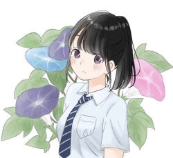Rule 34 | 1girl, black hair, blue flower, blue necktie, closed mouth, collared shirt, commentary, diagonal-striped clothes, diagonal-striped necktie, flower, leaf, light frown, looking at viewer, morning glory, necktie, original, pale skin, pink flower, plant, pocket, ponytail, purple eyes, school uniform, shirt, short sleeves, simple background, solo, striped clothes, upper body, vertical-striped clothes, vertical-striped necktie, white background, white shirt, yuum1709