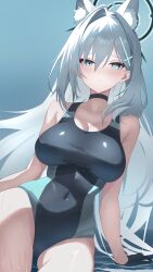 Rule 34 | 1girl, absurdres, animal ears, blue archive, blue eyes, breasts, grey hair, highres, large breasts, one-piece swimsuit, ryokuchabushi, shiroko (blue archive), shiroko (swimsuit) (blue archive), shiroko terror (blue archive), sitting, swimsuit, wolf ears