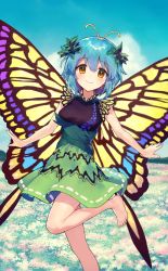Rule 34 | 1girl, ainy, antennae, bare arms, bare shoulders, barefoot, black shirt, blue hair, blue sky, blush, breasts, brown eyes, butterfly wings, cloud, day, eternity larva, feet out of frame, field, flower, flower field, green skirt, hair between eyes, insect wings, leaf, leg up, looking at viewer, medium breasts, miniskirt, outdoors, shirt, short hair, skirt, sky, sleeveless, sleeveless shirt, smile, solo, standing, standing on one leg, touhou, touhou cannonball, wings