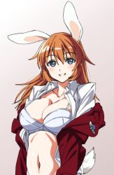 Rule 34 | 1girl, animal ears, blue eyes, blush, bra, breasts, charlotte e. yeager, cleavage, clothes pull, commentary, cowboy shot, dress shirt, grey background, grin, highres, insignia, jacket, jacket pull, kogarashi51, large breasts, long hair, long sleeves, looking at viewer, military, military uniform, navel, off shoulder, open clothes, open shirt, orange hair, rabbit ears, rabbit girl, rabbit tail, red jacket, shirt, smile, solo, strike witches, tail, underwear, uniform, white bra, white shirt, wing collar, world witches series