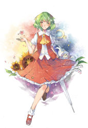 Rule 34 | 1girl, ascot, blush, closed umbrella, collared shirt, crescent moon, floral background, flower, full body, green eyes, green hair, heterochromia, highres, holding, holding umbrella, kazami yuuka, kazami yuuka (pc-98), lily (flower), lily of the valley, looking at viewer, mary janes, matching hair/eyes, moon, open clothes, open vest, petals, plaid, plaid skirt, plaid vest, red eyes, red footwear, red skirt, red vest, shirt, shoes, short hair, short sleeves, skirt, smile, socks, solo, sparkle, sunflower, touhou, touhou (pc-98), umbrella, vest, white shirt, white socks, yorktown cv-5