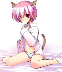 Rule 34 | animal ears, cat ears, cat tail, matsuzaki yutaka, open clothes, open shirt, original, panties, shirt, solo, tail, underwear