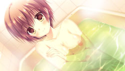 Rule 34 | 1girl, bath, blush, breasts, brown eyes, brown hair, circus (studio), collarbone, da capo, da capo iii, game cg, hinomoto aoi, large breasts, looking at viewer, nipples, nude, partially submerged, short hair, sitting, smile, solo, steam, water, wet