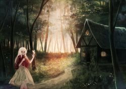 Rule 34 | 1girl, albino, bug, butterfly, butterfly on hand, forest, house, insect, long hair, looking at viewer, md5 mismatch, miyakure, nature, path, red eyes, resolution mismatch, road, shirt, skirt, smile, solo, sound horizon, source larger, white hair