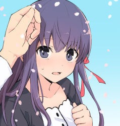 Rule 34 | 1girl, blue background, blue eyes, cherry blossoms, collarbone, fate/stay night, fate (series), floating hair, hair between eyes, hair ribbon, long hair, looking at viewer, matou sakura, official alternate costume, open mouth, purple hair, red ribbon, ribbon, sweatdrop, toy-black