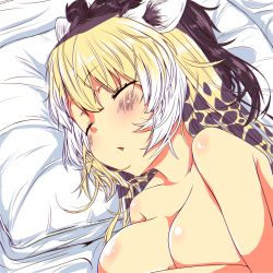 Rule 34 | 1girl, animal ears, blonde hair, blush, breasts, brown hair, chabo-kun, cleavage, closed eyes, collarbone, commentary request, completely nude, giraffe ears, giraffe horns, hair between eyes, highres, horns, kemono friends, large breasts, long hair, lying, medium breasts, nude, on side, parted lips, pillow, reticulated giraffe (kemono friends), sleeping, solo, upper body, white hair