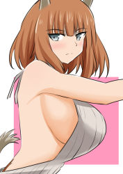 Rule 34 | 1girl, animal ears, blue eyes, blush, brave witches, breasts, brown hair, dog ears, dog tail, gundula rall, highres, looking at viewer, meme attire, pink background, shikokuken (mrykk24), short hair, sideboob, simple background, solo, tail, two-tone background, virgin killer sweater, white background, world witches series