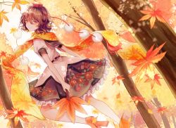 Rule 34 | 1girl, autumn, autumn leaves, black skirt, brown flower, brown hair, brown rose, closed mouth, commentary request, eyelashes, floral print, flower, forest, frills, from behind, hair between eyes, hand fan, hat, highres, hourai kiriri, leaf print, leg up, looking at viewer, looking back, nature, no wings, orange footwear, orange scarf, pink flower, pink rose, pom pom (clothes), puffy short sleeves, puffy sleeves, red eyes, red hat, rose, rose print, scarf, shameimaru aya, shirt, shoes, short sleeves, skirt, sky, smile, solo, standing, standing on one leg, teeth, tokin hat, touhou, tree, white shirt, white sky, yellow scarf