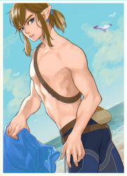 Rule 34 | 1boy, artist name, ass, bad id, bad twitter id, bird, blonde hair, blue eyes, blue shirt, blue sky, blurry, blurry background, border, collarbone, cowboy shot, day, earrings, from side, highres, holding, holding clothes, holding shirt, ivy (sena0119), jewelry, link, looking at viewer, looking back, male focus, nintendo, ocean, outdoors, parted lips, pectorals, pointy ears, shirt, short ponytail, sky, solo, teeth, the legend of zelda, the legend of zelda: breath of the wild, topless male, white border
