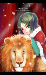 Rule 34 | 1boy, absurdres, androgynous, aqua eyes, cape, copyright name, fate/zero, fate (series), green eyes, green hair, highres, letterboxed, liang, light particles, lion, male focus, waver velvet