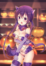 Rule 34 | 1girl, animal costume, animal ear fluff, animal ears, bare shoulders, blush, breasts, cleavage, commentary request, cosplay, cowboy shot, elbow gloves, fate/grand order, fate (series), gloves, gochuumon wa usagi desu ka?, hair between eyes, halloween costume, indoors, jack-o&#039;-lantern, large breasts, long hair, looking at viewer, mash kyrielight, mash kyrielight (dangerous beast), mash kyrielight (dangerous beast) (cosplay), official alternate costume, open mouth, piripun, pumpkin, purple eyes, purple hair, purple thighhighs, shielder (fate/grand order) (cosplay), solo, taneda risa, tedeza rize, thighhighs, voice actor connection
