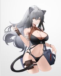Rule 34 | 1girl, absurdres, animal ears, arknights, bag, bandaged arm, bandages, bare shoulders, black gloves, black panties, breasts, cat ears, cat tail, chinese commentary, cleavage, cleavage cutout, clothing cutout, commentary request, crop top, cropped legs, female focus, fingerless gloves, gloves, grey background, hair between eyes, hand up, highres, large breasts, long hair, looking at viewer, midriff, navel, panties, parted lips, partial commentary, ponytail, pouch, schwarz (arknights), silver hair, simple background, sleeveless, solo, standing, stomach, tail, thigh strap, thighs, underwear, very long hair, yellow eyes, yunlingluo