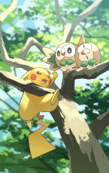 animal_focus bird brown_eyes commentary_request creatures_(company) game_freak gen_1_pokemon gen_7_pokemon highres nintendo no_humans open_mouth outdoors owl pikachu pokemon pokemon_(creature) rowlet sitting_on_branch smile tail tree wings yamaori_(hakkentai_pokedan)