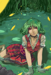 Rule 34 | 1girl, all fours, bad id, bad pixiv id, barefoot, breasts, cleavage, female focus, green hair, john marica, kazami yuuka, large breasts, lips, nature, partially submerged, petals, plaid, plaid skirt, plaid vest, red eyes, short hair, skirt, solo, touhou, vest, water, wet, wet clothes