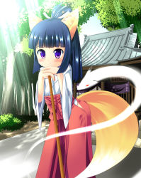 Rule 34 | 1girl, animal ears, architecture, black hair, blush, broom, day, east asian architecture, fox ears, highres, hitodama, japanese clothes, long hair, maritchi, miko, original, outdoors, ponytail, purple eyes, ribbon, smile, solo, sunlight, tail, tree