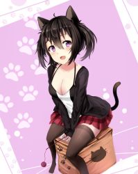 Rule 34 | 1girl, :d, animal ears, bad id, bad pixiv id, beifeng han, black hair, black thighhighs, blush, box, breasts, cardboard box, cat ears, cat tail, cleavage, fang, foreshortening, hair between eyes, looking at viewer, miyaura sanshio, open mouth, original, paw print, purple eyes, short hair, sitting, smile, solo, tail, thighhighs, twintails, aged down