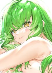 Rule 34 | 1girl, bare arms, bare shoulders, blush, breasts, c.c., code geass, commentary request, face, green hair, highres, kou mashiro, long hair, looking at viewer, sideboob, smile, solo, yellow eyes