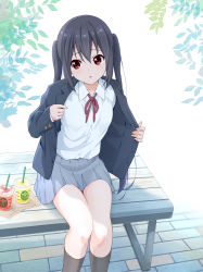 Rule 34 | 1girl, bench, black hair, black socks, blue jacket, blush, collared shirt, commentary, cup, day, disposable cup, dresstrip, drink, drinking straw, feet out of frame, grey skirt, hair between eyes, jacket, juice, k-on!, kneehighs, leaf, long hair, long sleeves, looking at viewer, nakano azusa, neck ribbon, on bench, outdoors, parted lips, pleated skirt, red eyes, red ribbon, removing jacket, ribbon, sakuragaoka high school uniform, school uniform, shirt, sitting, skirt, socks, solo, starbucks, twintails, white shirt