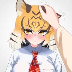 Rule 34 | 1girl, animal ears, black hair, blush, collared shirt, disembodied hand, hair between eyes, hand on another&#039;s head, highres, kemono friends, kemono friends 3, looking to the side, multicolored hair, necktie, nijiiro (graynbow wolf), nose blush, orange eyes, orange hair, plaid necktie, red necktie, shirt, sidelocks, solo, sweatdrop, tiger (kemono friends), tiger ears, tiger girl, upper body, white hair, white shirt