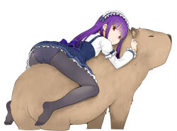 Rule 34 | 1girl, animal, ass, capybara, dress, expressionless, frilled dress, frilled hairband, frills, full body, hairband, idolmaster, idolmaster cinderella girls, lolita hairband, long hair, long sleeves, looking at viewer, looking back, no shoes, ookamiuo, panties, panties under pantyhose, pantyhose, purple hair, red eyes, riding, sajo yukimi, simple background, straddling, striped clothes, striped panties, thighs, underwear, white background