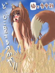 Rule 34 | 00s, animal ears, blush, brown hair, holo, long hair, nude, red eyes, shouseki (pixiv75889), solo, spice and wolf, tail, translated, wheat, wolf ears, wolf tail