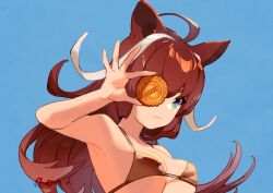 Rule 34 | 1girl, :3, ahoge, animal ears, bare arms, bare shoulders, bikini, biscuit (bread), black bikini, blue background, blue eyes, breasts, brown hair, cleavage, closed mouth, food, hand up, holding, holding food, long hair, looking at viewer, medium breasts, multicolored hair, original, rongai rongai, simple background, solo, streaked hair, swimsuit
