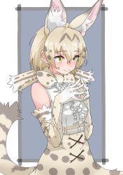 Rule 34 | 1girl, absurdres, animal ear fluff, animal ears, bare shoulders, belt, blonde hair, bow, bowtie, center frills, commentary, elbow gloves, extra ears, female focus, fingers together, frills, gloves, hair between eyes, highres, kemono friends, looking away, print bow, print bowtie, print gloves, print skirt, serval print, shirt, short hair, simple background, skirt, sleeveless, sleeveless shirt, smile, solo, tail, tanabe (fueisei), upper body, white serval (kemono friends), white shirt, yellow eyes