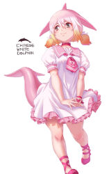 Rule 34 | 1girl, ballet slippers, blowhole, blush, cetacean tail, chinese white dolphin (kemono friends), choker, collar, dolphin girl, dolphin shorts, dorsiflexion, dress, fins, fish tail, footwear ribbon, frilled dress, frills, hair between eyes, head fins, highres, japari symbol, kemono friends, kosai takayuki, multicolored hair, necktie, orange hair, own hands together, pink collar, pink footwear, pink hair, pink trim, puffy short sleeves, puffy sleeves, red choker, red necktie, sailor collar, sailor dress, short sleeves, short twintails, shorts, sidelocks, smile, solo, tail, twintails, white dress, white hair