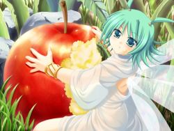 Rule 34 | 1girl, :t, antennae, apple, back, blush, bracelet, dress, eating, eushully, fairy, fairy wings, flipped hair, food, food on face, from side, fruit, game cg, grass, green eyes, green hair, hair bobbles, hair ornament, hatozuki tsumiki, holding, holding food, holding fruit, ikusa megami (series), ikusa megami zero, jewelry, leaf, looking at viewer, looking back, matching hair/eyes, mini person, minigirl, on ground, outdoors, pazmo menesis, rock, see-through, short hair, sitting, solo, two side up, white dress, wide sleeves, wings
