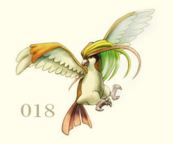 Rule 34 | bird, black eyes, commentary request, creatures (company), full body, game freak, gen 1 pokemon, kikuyoshi (tracco), looking at viewer, nintendo, no humans, open mouth, pidgeot, pokedex number, pokemon, pokemon (creature), solo, talons