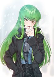 Rule 34 | 1girl, black coat, black skirt, blue jacket, blush, c.c., coat, code geass, commentary request, creayus, eating, fingernails, food, green hair, hand in pocket, holding, holding food, jacket, light blush, long hair, long sleeves, looking at viewer, open mouth, skirt, snowing, solo, standing, striped clothes, striped sweater, sweater, upper body, yellow eyes