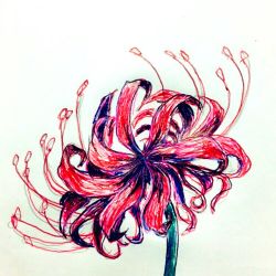 Rule 34 | flower, graphite (medium), original, pen (medium), plant, rokki hero, spider lily, traditional media