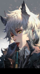 Rule 34 | 1girl, animal ears, arknights, breasts, cleavage, collarbone, eyelashes, gloves, hair ornament, hairclip, hand to own mouth, highres, lips, looking at viewer, scar, short hair, silverash (arknights), solo, train hb, white hair, yellow eyes