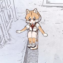 Rule 34 | 1girl, animal ears, blush, brown gloves, brown socks, brown vest, collared shirt, commentary request, dog (shiba inu) (kemono friends), dog ears, dog girl, dog tail, elbow gloves, extra ears, gloves, harness, hole, japari symbol, kemono friends, light brown hair, multicolored hair, necktie, orange eyes, photo-referenced, red necktie, shirt, shoes, short hair, short sleeves, sneakers, socks, solo, t-shirt, tail, tanaka kusao, two-tone gloves, two-tone hair, two-tone legwear, two-tone vest, vest, white footwear, white gloves, white hair, white shirt, white socks, white vest