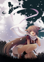 Rule 34 | 1girl, animal ears, bad id, bad pixiv id, blonde hair, brown eyes, cloud, dog ears, female focus, from below, grass, hair over one eye, kneeling, long hair, nacht (nacht 01), nature, open mouth, original, outdoors, petals, scarf, skirt, sky, solo, very long hair