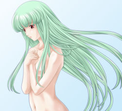 Rule 34 | 1girl, bad id, bad pixiv id, censored, convenient censoring, fire emblem, fire emblem: the blazing blade, green hair, hair censor, highres, long hair, navel, ninian, nintendo, nude, red eyes, simple background, solo, tamamon